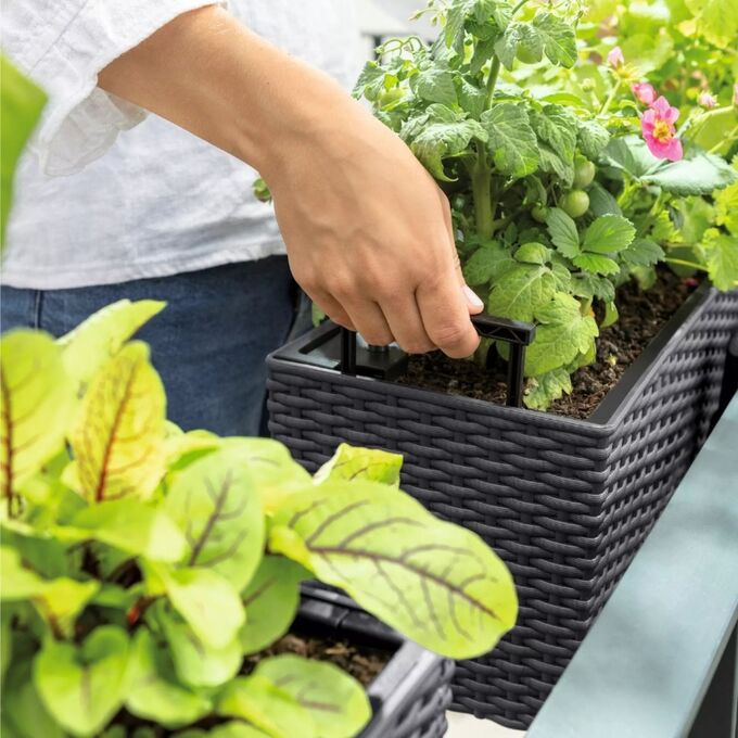 LECHUZA Balconera Cottage 40 Planter 40x19x19cm Self Watering with Planting Container Graphite Black Germany RedDot Award 2010